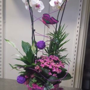 ciudad real centros florales ciudad real centros florales