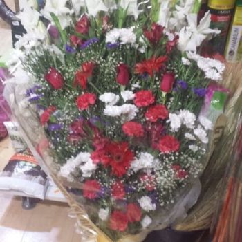 ciudad real ramos ciudad real ramos