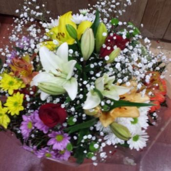 ramos ciudad real ramos ciudad real