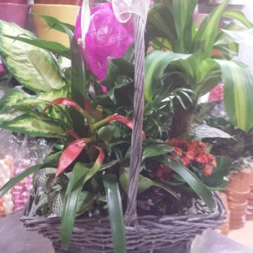 centros florales ciudad real centros florales ciudad real